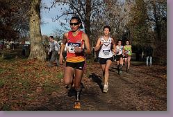 Begles 15.12.13 01 763 * 679 x 453 * (176KB)